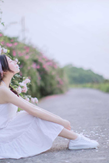 落魄贵族琉璃免费高清全集在线观看